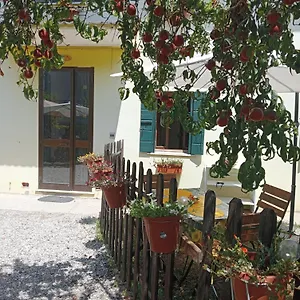 Malcontenta Appartamento